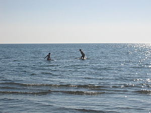 IMG_0940.JPG