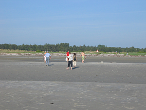 IMG_0942.JPG