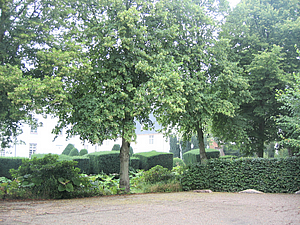 44 Schackenborg.jpg
