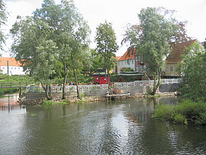 56 Ribe.jpg