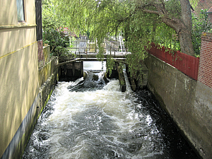 58 Ribe.jpg