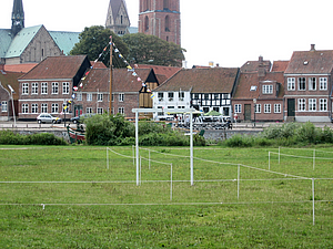 61 Ringridning i Ribe.jpg