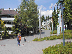 P6160176.jpg