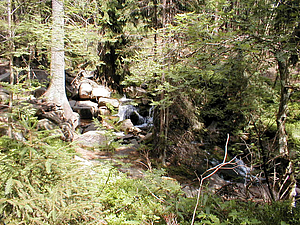 P6160177.jpg