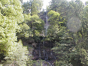 P6170198.jpg