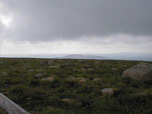 P6180206.jpg