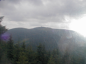 P6180210.jpg