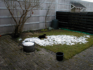 P3250010.JPG