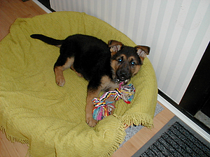 P3250011.JPG