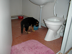 P3250015.JPG