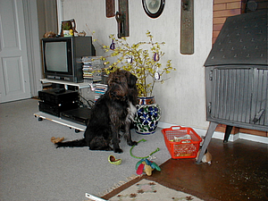 P4150001.JPG