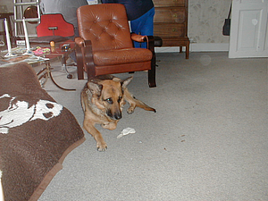 P4150002.JPG