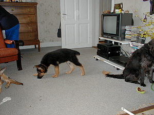 P4150003.JPG