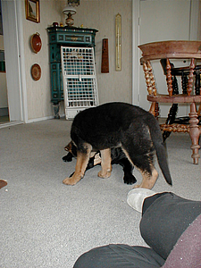 P4150005.JPG
