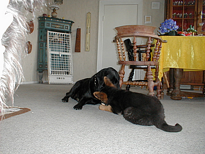 P4150006.JPG