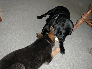 P4150007.JPG