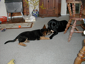 P4150008.JPG