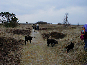 P4150012.JPG