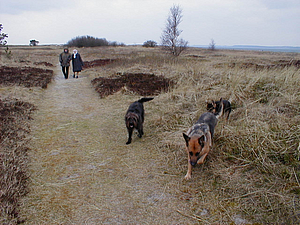 P4150013.JPG