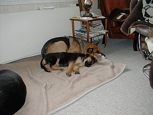 P4150017.JPG