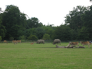IMG_1381.JPG
