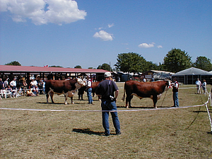 P6060107.JPG